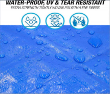 Blue Color PE Tarpaulin Waterproof Tear Proof Solution For Transportation Needs