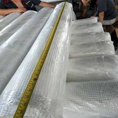 Mesh Tarp Roll In PE Material For Vegetable And Flower House Transparent Grid Tarpaulin For Green House