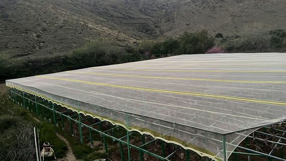 Η Αγροτική Δίκτυα HDPE που Επεξεργάζεται με ΥΦΑ και Προστατεύεται από Εντόματα παρέχει αντοχή σε δάκρυα